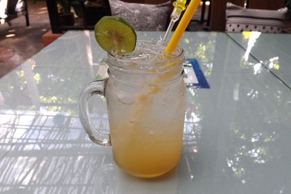 レモン・ハニー・ソーダ